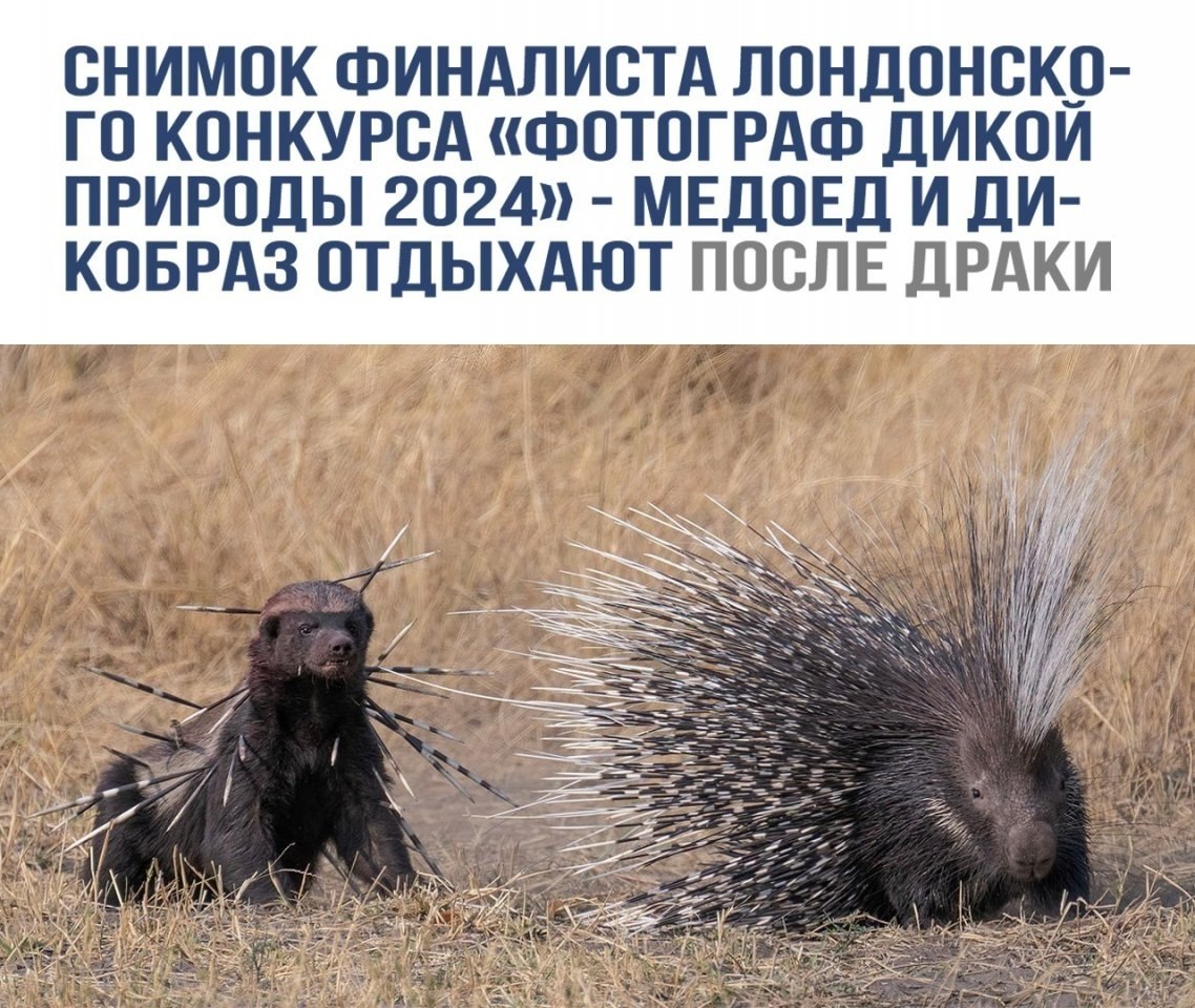 o, apa a o e ce?