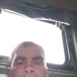 , 41, 