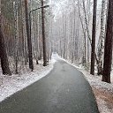 ���� ��������, ������, 64 ���� - ��������� 10 ������ 2026 � ������ ���� ����������