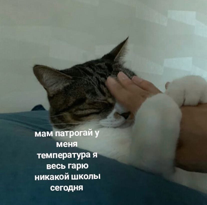    - 9  2023  08:30