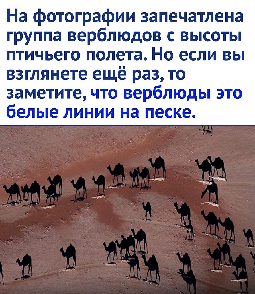 ��� �� ����� ����������� ��� - 2