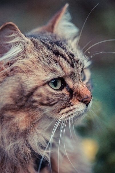 Стихи и цитаты - 21 сентября 2025 в 12:42 - 2