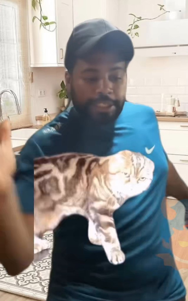 Котик, свали по-братски - 2