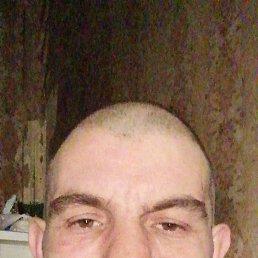 , 41, 