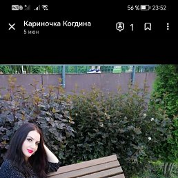 , 37 , 