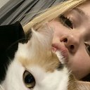 ���� �������, ������, 21 ��� - ��������� 25 ������� 2026 � ������ ���� ����������