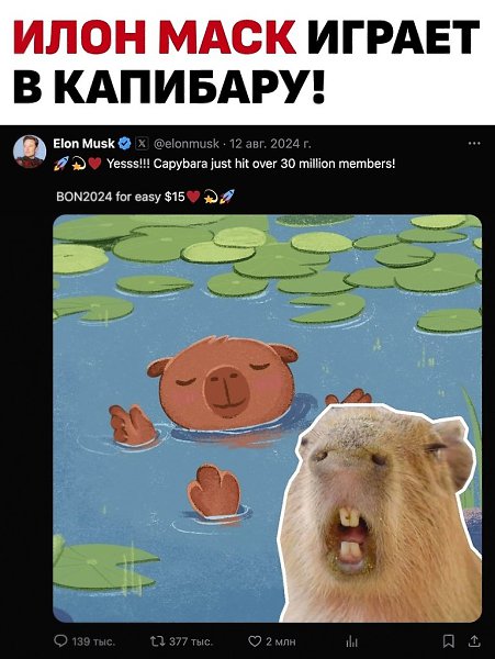 Илон Маск вложился в новый кликер... Обещает, что это будет новая волна в мире криптоигр, и раздаёт ...