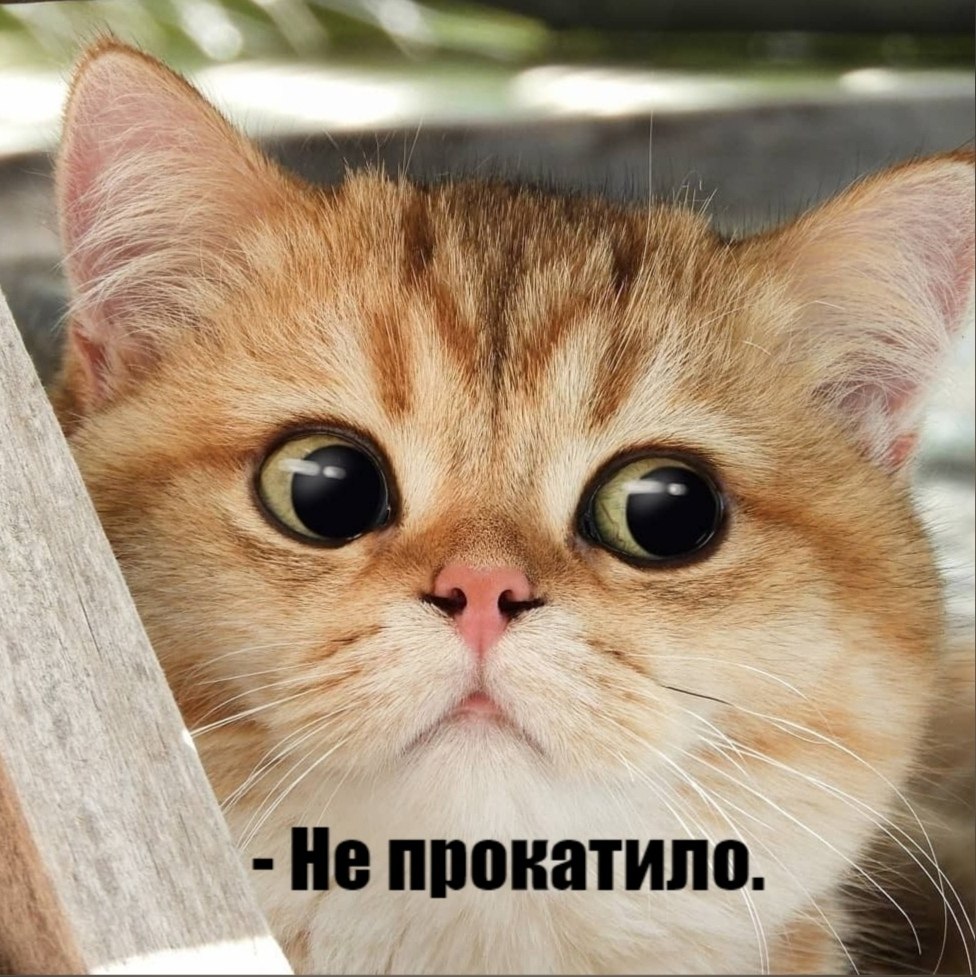       - 4  2025  16:03 - 5