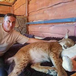 ��������, �����, 46 ���