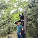 ���� �������, �����������, 43 ���� - ��������� 27 ������ 2026 � ������ ���� ����������