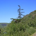 ���� Ger Karlson, ��������� - ��������� 21 ������� 2023 � ������ ���� ����������