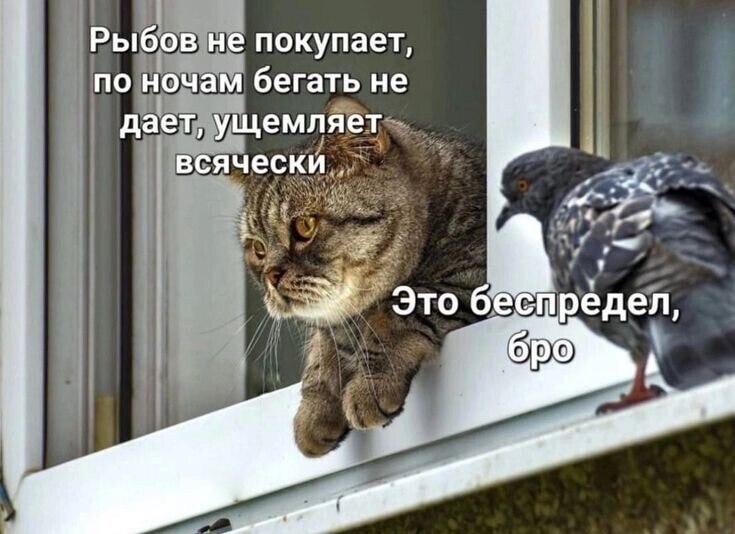   - 14  2025  08:28