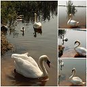 ���� Diana, ����� - ��������� 3 �������� 2024 � ������ ���� ����������