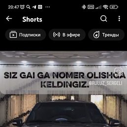 ����, �������, 61 ���