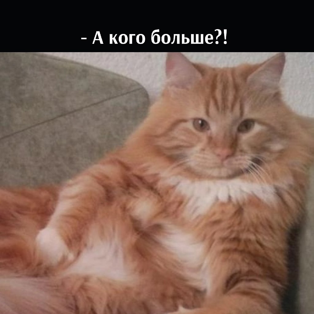 ��� ���� � ����� �� �� - 23 ������� 2026 � 11:30 - 3