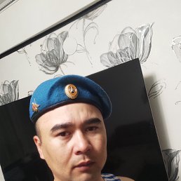 , 29, 