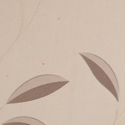 ����, ������� ��������, 44 ����