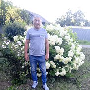 , 60 , 