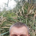 ���� ����, ������������, 38 ��� - ��������� 3 ������ 2024 � ������ ���� ����������