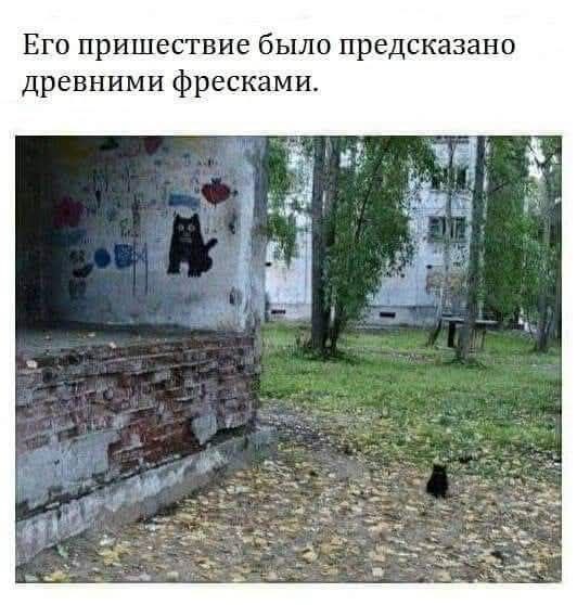   - 27  2025  19:02
