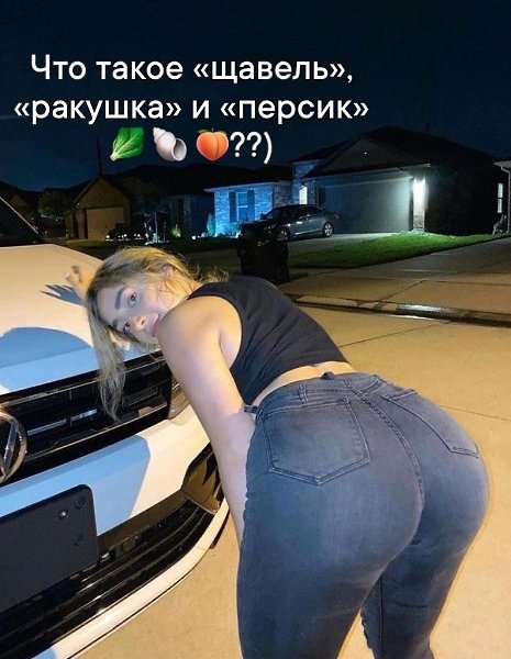 ������� ������ ������� ����� - 17 ������ 2025 � 10:30