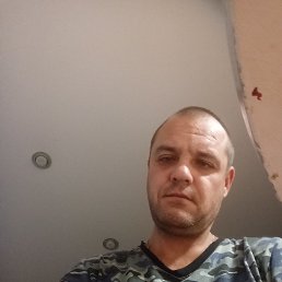 , 41, 