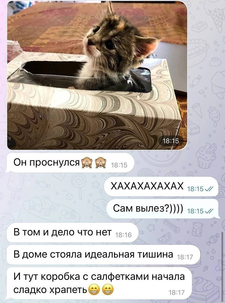  :3 - 3