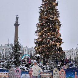 ����, �����-���������, 67 ���