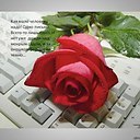 ���� �����, �����-��������� - ��������� 9 �������� 2025 � ������ ������ ��������