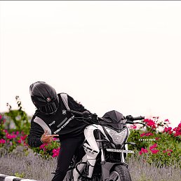 Hhh, ����, 85 ���
