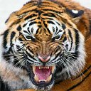 ���� ����, �����, 45 ��� - ��������� 21 ����� 2024