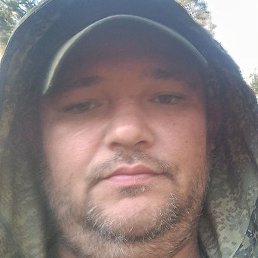 ����, �������, 37 ���