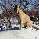 ���� ����, ������, 39 ��� - ��������� 19 ������� 2024 � ������ ���� ����������