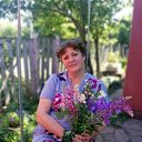 ���� �������, ������ - ��������� 5 ����� 2026