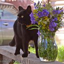 ���� �������, �������, 42 ���� - ��������� 8 ������� 2025 � ������ ���� ����������