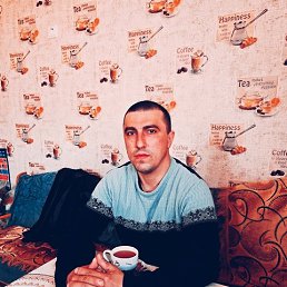 , 34, 