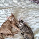 ���� ��������, ���������� - ��������� 19 ������ 2025 � ������ ������ ��������