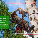 ���� ��������, ������-��-����, 38 ��� - ��������� 18 ������� 2026 � ������ ������ ��������
