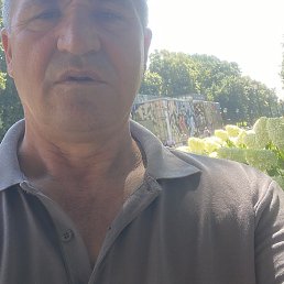 Toli Orni, ������������, 50 ���