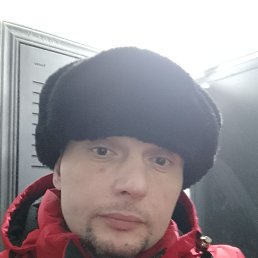 �������, 41 ���, ������