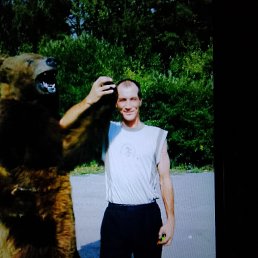 ����, 45 ���, ����������