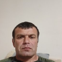 , 42, 