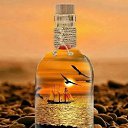 ���� �����, ���� - ��������� 7 ��� 2026 � ������ ������ ��������