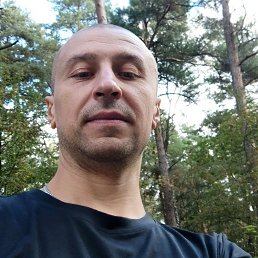 , 37, 