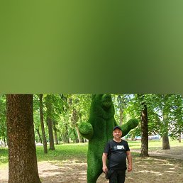 ���� ���������, ������, 40 ��� - ��������� 26 ������� 2026