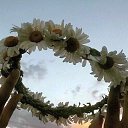 ���� ����, ����������� - ��������� 24 ������ 2026