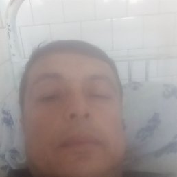 ����, �����, 37 ���