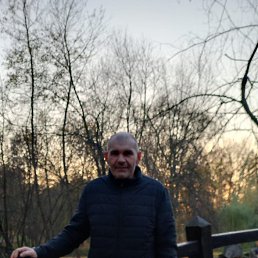, 55, 