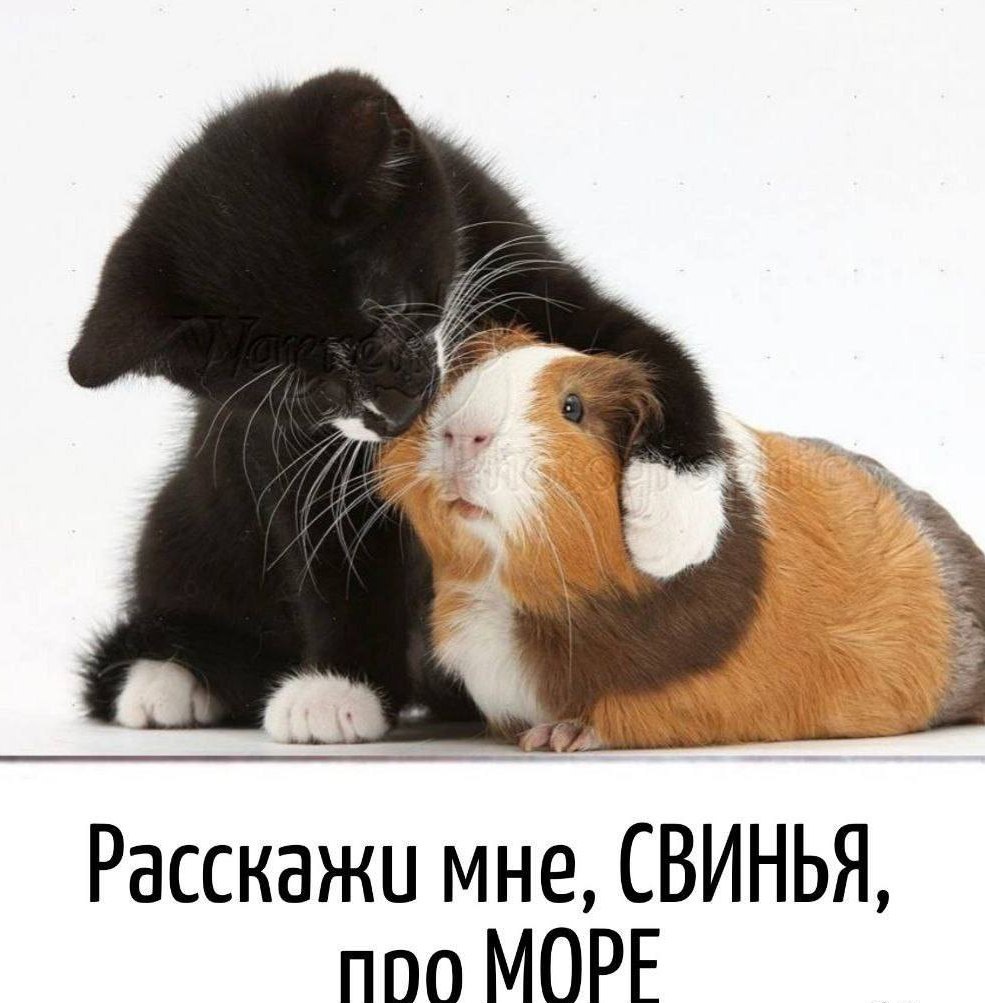   - 9  2025  11:06
