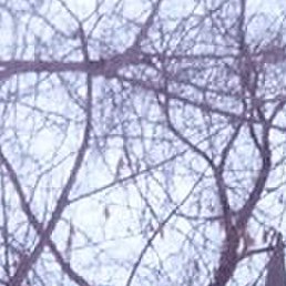 �������, ������, 20 ���